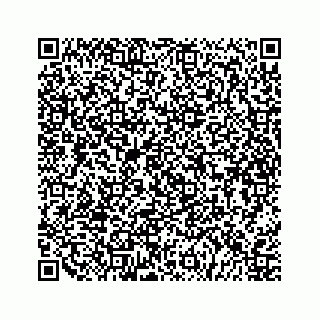 vCard 79527200419