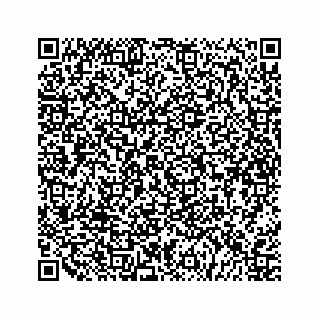 vCard 79527200421
