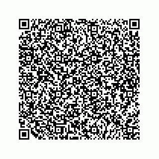 vCard 79527200499