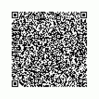 vCard 79527200529