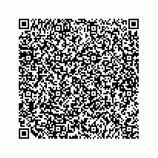 vCard 79527200532
