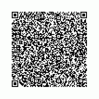 vCard 79527200533
