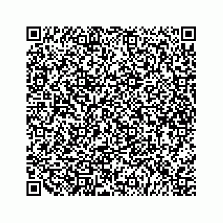 vCard 79527200535