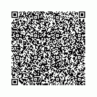 vCard 79527200541