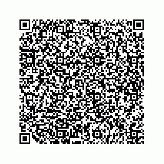 vCard 79527200587