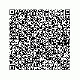 vCard 79527200713
