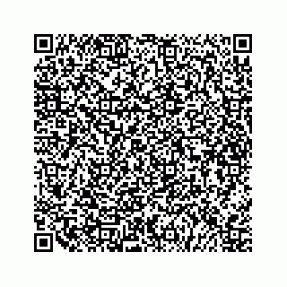 vCard 79527200729