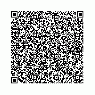 vCard 79527200733
