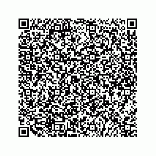 vCard 79527200753