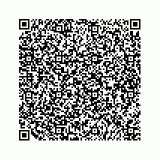 vCard 79527200778