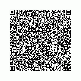 vCard 79527200780