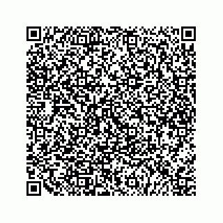 vCard 79527200787