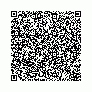 vCard 79527220384