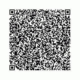 vCard 79527220399