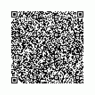 vCard 79527221633