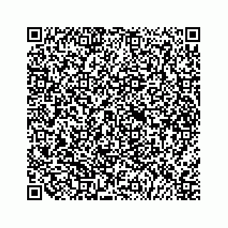 vCard 79527227381