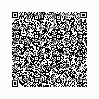 vCard 79527227385