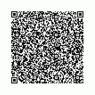 vCard 79527227389
