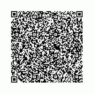 vCard 79527227603