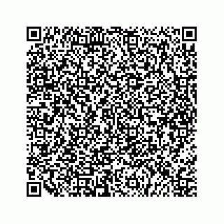 vCard 79527228349