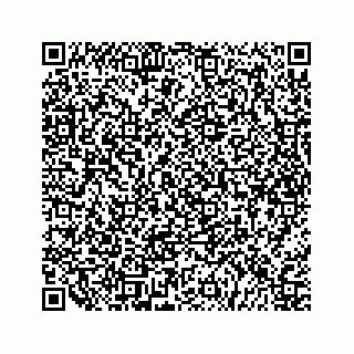 vCard 79527228403