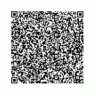 vCard 79527228501