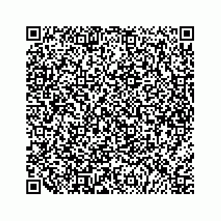 vCard 79527228603