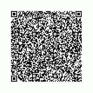 vCard 79527228673