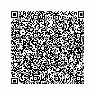 vCard 79527228863