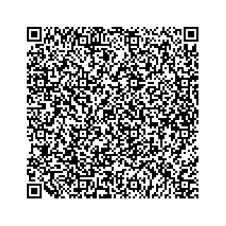vCard 79527228873