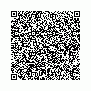 vCard 79527231003