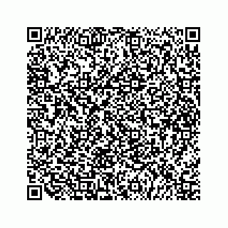 vCard 79527233531