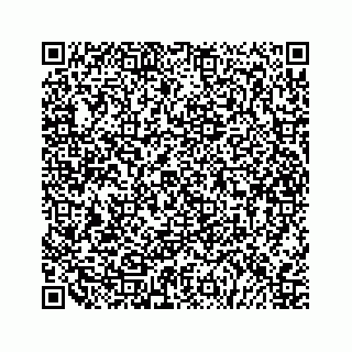 vCard 79527233724