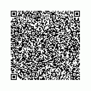 vCard 79527233811