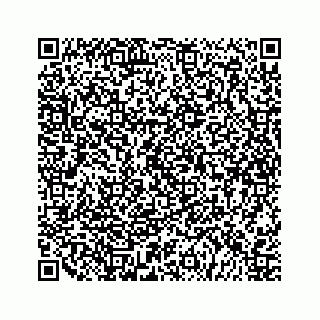 vCard 79527234003