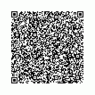 vCard 79527241239
