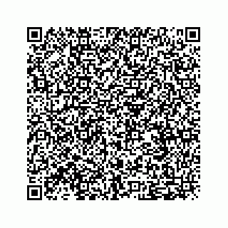vCard 79527241299