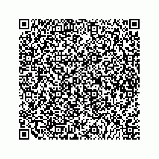 vCard 79527241417