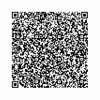 vCard 79527241579