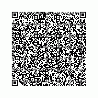 vCard 79527241710