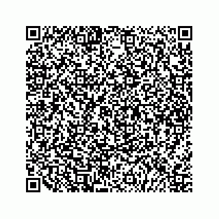 vCard 79527241715