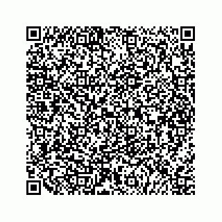 vCard 79527241778