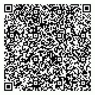 vCard 79527250199