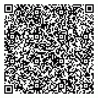 vCard 79527250285