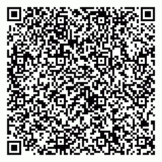 vCard 79527250317