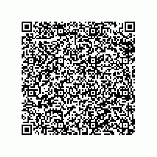 vCard 79529000313