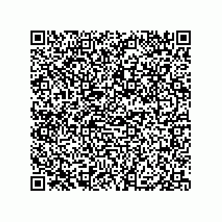 vCard 79529000381