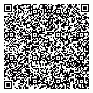 vCard 79533000294