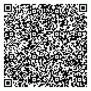 vCard 79533000321