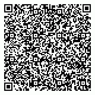 vCard 79533000331